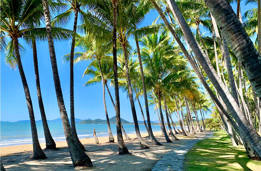 Palm Cove